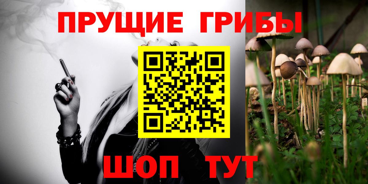 Туапсе  Галлюциногенные грибы Magic Shrooms  Вход с VPN 